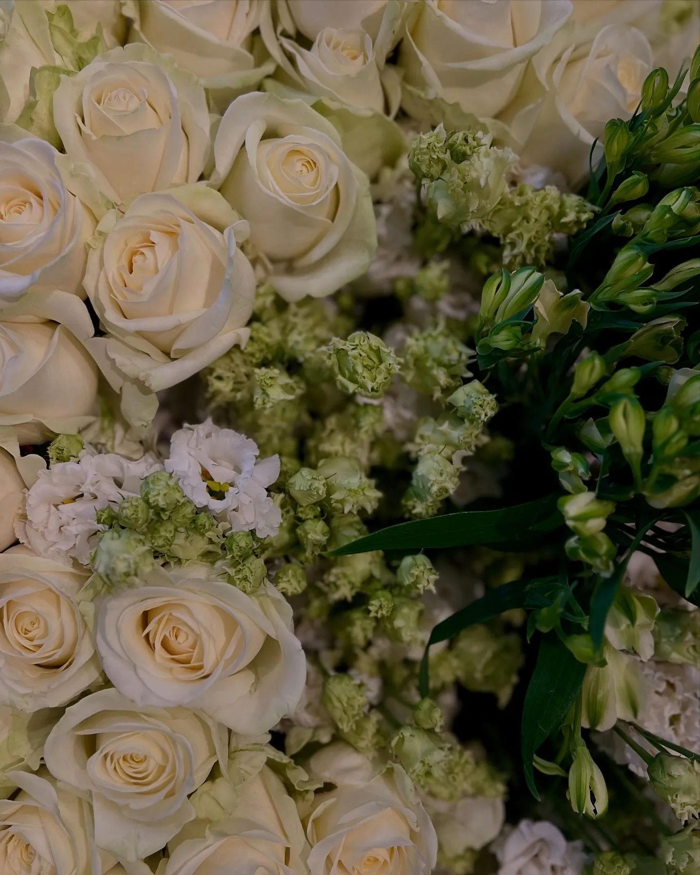 Weiße Rosen und Levkojen aus der Nähe